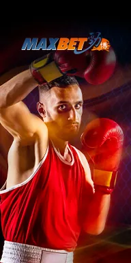 MaxBet boxing sportsbook on BIGWIN